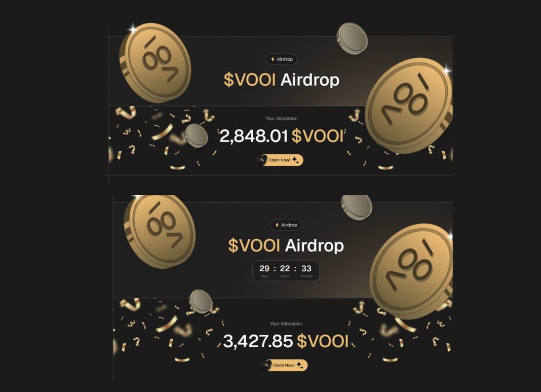 VOOI 项目遭受背叛的结果