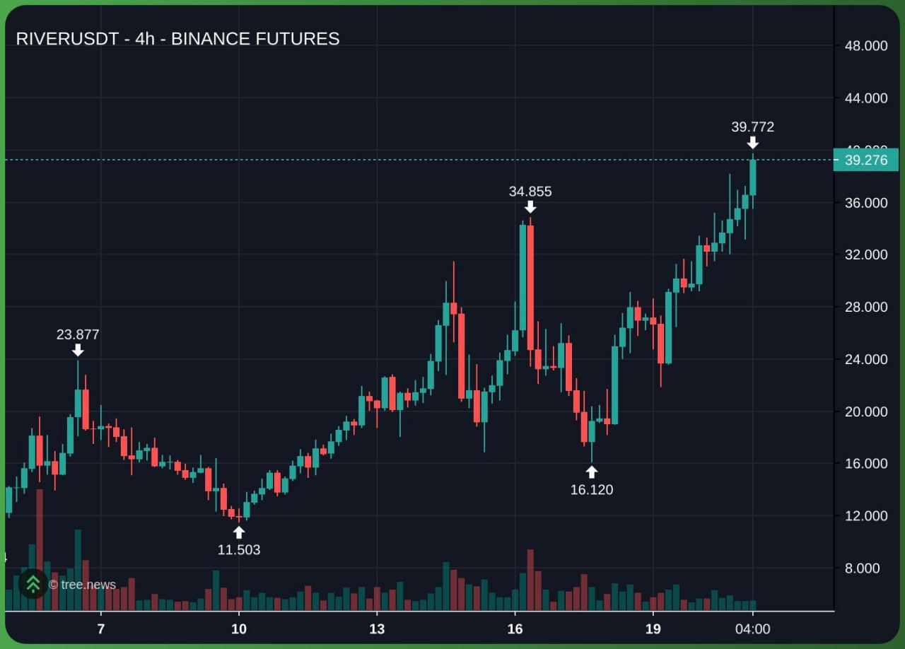 史上最厉害的代币