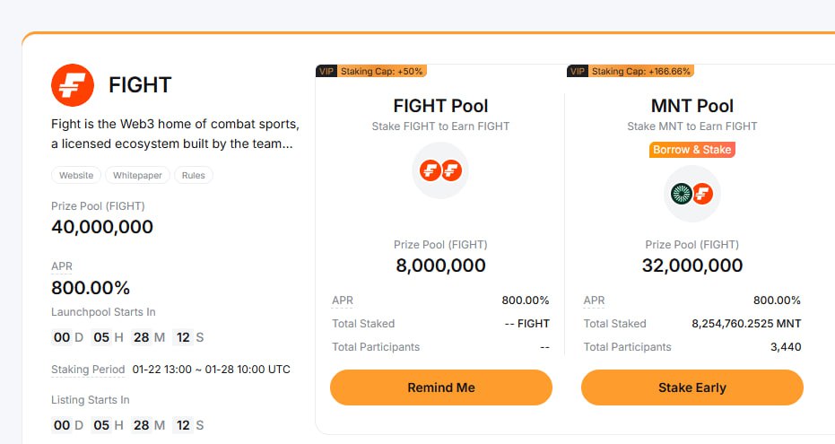 Storyteller 的 fight Launchpool 登场了